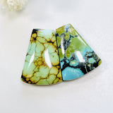 Large Mixed Petal Mixed Turquoise, Set of 2 Background