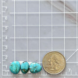 Small Sky Blue Freeform Kingman Turquoise, Set of 3 Dimensions