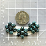 Small Deep Blue Round Yungai Turquoise, Set of 21 Dimensions