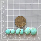 Small Faint Blue Freeform Number 8 Turquoise, Set of 6 Dimensions