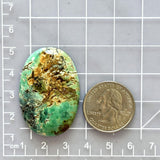 Large Sea Green Oval Crescent Lake Variscite Dimensions