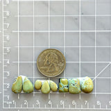 Small Mint Green Mixed Treasure Mountain Turquoise, Set of 8 Dimensions