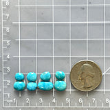 Small Sky Blue Mixed Kingman Turquoise, Set of 8 Dimensions