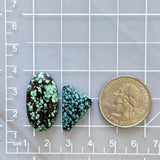Large Mixed Mixed Mixed Turquoise, Set of 2 Dimensions