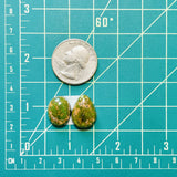 Small Sea Green Mixed Carico Lake Turquoise, Set of 2 Dimensions
