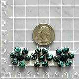 Small Ocean Blue Round Yungai Turquoise, Set of 21 Dimensions