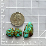 Medium Sea Green Freeform Number 8 Turquoise, Set of 3 Dimensions