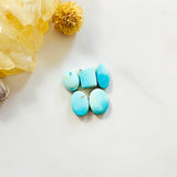 Small Sky Blue Freeform Sleeping Beauty Turquoise, Set of 5 Background