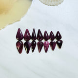 Medium Purple Teardrop Spiny Oyster, Set of 14 Background