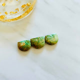 Medium Lime Green Half Moon Green Serpentine Serpentine, Set of 3 Background