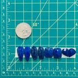 Small Deep Blue Mixed Lapis Lazuli, Set of 8 Dimensions