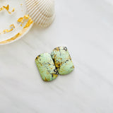 Large Faint Green Barrel Wild Horse Turquoise, Set of 2 Background