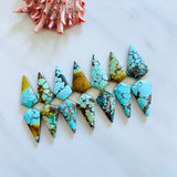 Large Mixed Shield Mixed Turquoise, Set of 14 Background