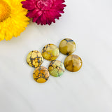 Medium Royal Orange Round Treasure Mountain Turquoise, Set of 6 Background