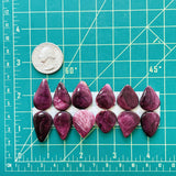 Medium Purple Teardrop Spiny Oyster, Set of 12 Dimensions