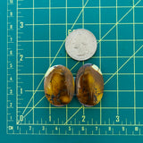 Large Royal Orange Oval Treasure Mountain Turquoise, Set of 2 Dimensions