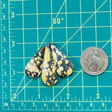 Large Royal Orange Teardrop Giraffe Turquoise, Set of 3 Dimensions