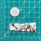Medium Faint Blue Bar Sand Hill Turquoise, Set of 5 Dimensions