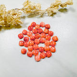 6x6mm Cushion Spiny Oyster, Set of 2