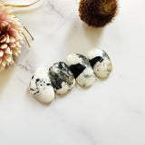 Medium White Mixed White Buffalo Dolomite, Set of 4 Background
