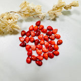 5x7mm Teardrop Spiny Oyster, Set of 4