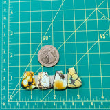 Medium Mixed Petal Treasure Mountain Turquoise, Set of 4 Dimensions