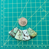 Large Mixed Petal Wild Horse Turquoise, Set of 4 Dimensions