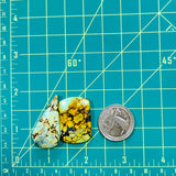 Large Royal Orange Mixed Wild Horse Turquoise, Set of 2 Dimensions