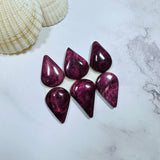 Large Purple Teardrop Spiny Oyster, Set of 6 Background