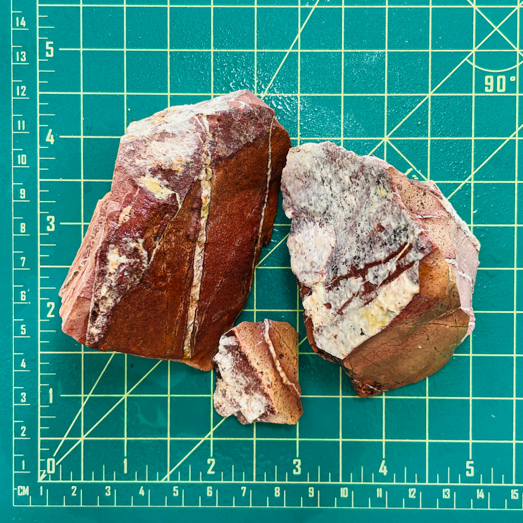 Red Rough Natural White Buffalo Turquoise Chunks Turquoise Moose