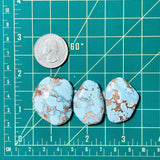 Large Sky Blue Freeform Golden Hill Turquoise, Set of 3 Dimensions