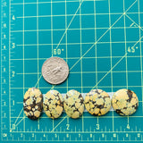 Large Royal Orange Mixed Treasure Mountain Turquoise, Set of 5 Dimensions