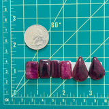 Medium Purple Mixed Spiny Oyster, Set of 6 Dimensions