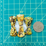 Medium Royal Orange Petal Mixed Turquoise, Set of 6 Dimensions