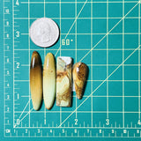 Large Sea Green Mixed Crescent Lake Variscite, Set of 4 Dimensions