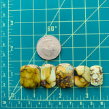Medium Royal Orange Barrel Treasure Mountain Turquoise, Set of 5 Dimensions