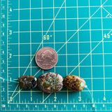 Medium Earth Brown Nugget Treasure Mountain, Set of 3 Extra
