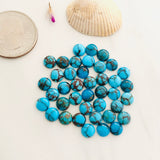 6x6mm Round Prince Egyptian, Set of 4