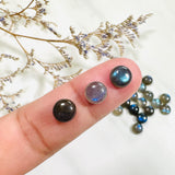 7x7mm Round Labradorite, Set of 20