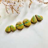 Small Deep Green Mixed Royston Turquoise, Set of 6 Background