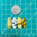 Medium Mixed Surfboard Mixed Turquoise, Set of 4 Dimensions