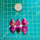 Medium Purple Teardrop Spiny Oyster, Set of 6 Dimensions