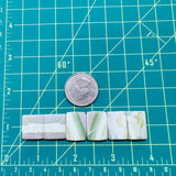Medium Lime Green Bar Green Serpentine Serpentine, Set of 6 Dimensions