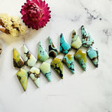 Medium Mixed Shield Mixed Turquoise, Set of 14 Background