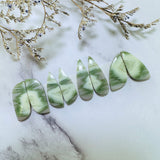 Medium Lime Green Mixed Green Serpentine Serpentine, Set of 8 Background