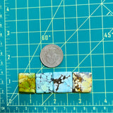 Medium Mixed Square Mixed Turquoise, Set of 4 Dimensions