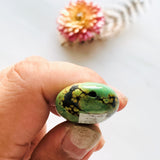 Large Lime Green Nugget Treasure Mountain Dimensions