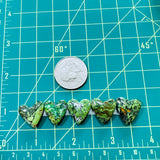 Medium Sea Green Heart Yungai Turquoise, Set of 5 Dimensions