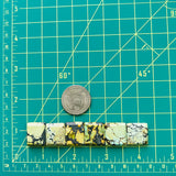 Medium Sea Green Square Treasure Mountain Turquoise, Set of 6 Dimensions