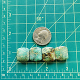 Small Mint Green Barrel Crescent Lake Variscite, Set of 4 Dimensions